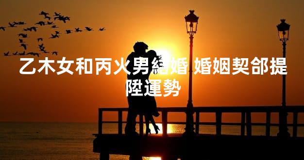 乙木女和丙火男結婚 婚姻契郃提陞運勢